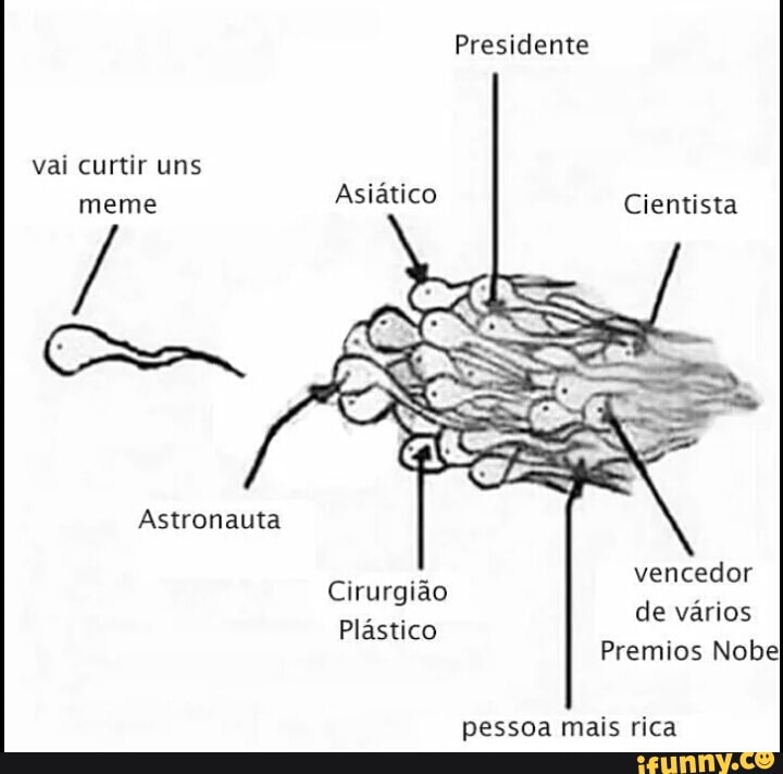 Presidente
Astronauta
de vários
Premios Nobe
Cirurgião
Plástico
pessoa mais rica