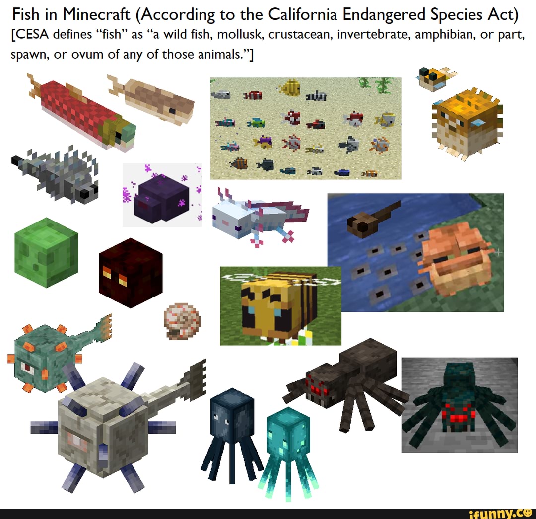 Fish in Minecraft (According to the California Endangered Species Act