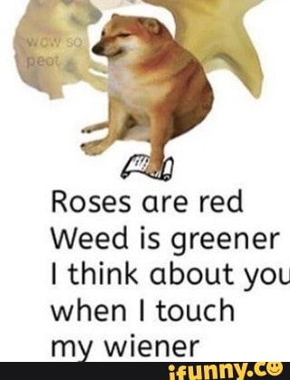 Roses are red
Weed is greener think about you when touch
