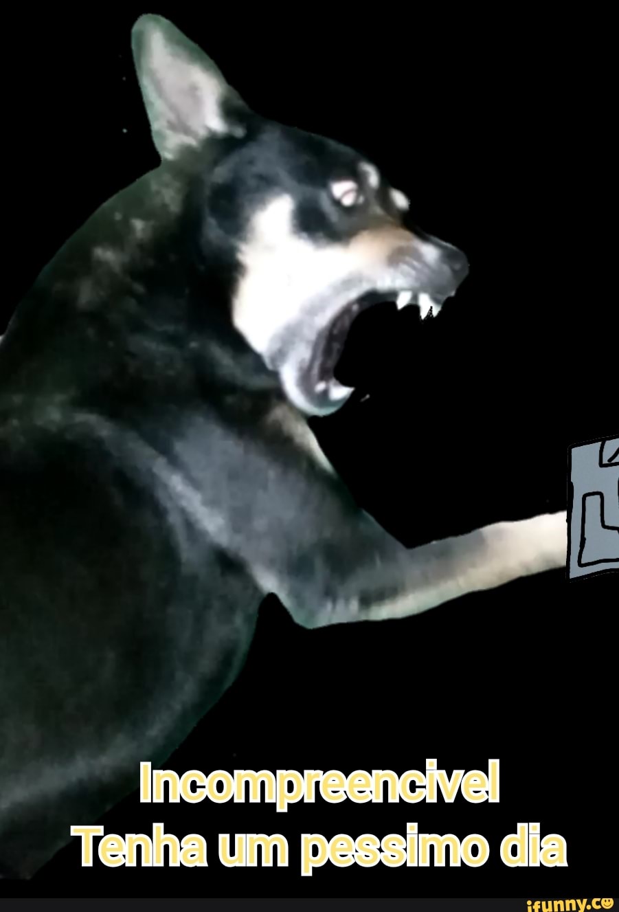 Incompreencivel
Tenha um pessimo dia