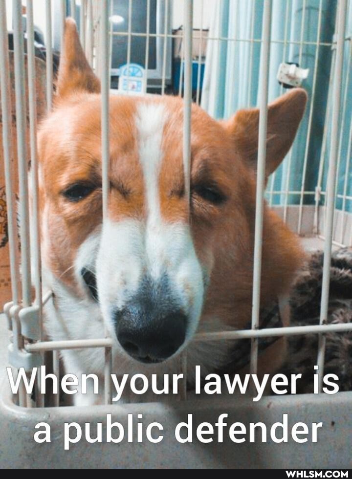 When your lawyer is
~a public defender