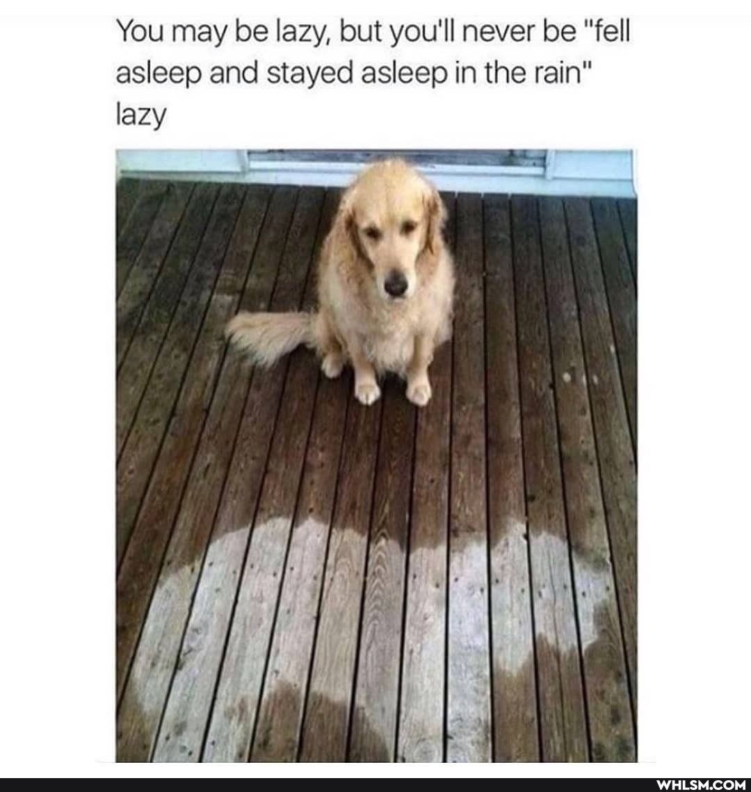 You may be lazy, but you'll never be "fell asleep and stayed asleep in the rain" lazy