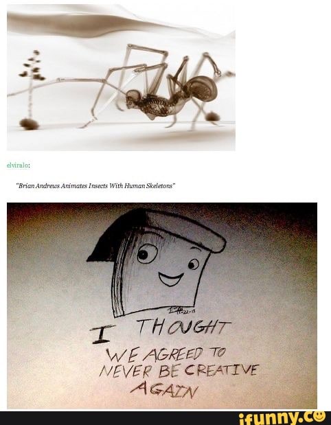 THOUGHT
WE AGREED TO
NEVER BE CREATIVE
AGAIN