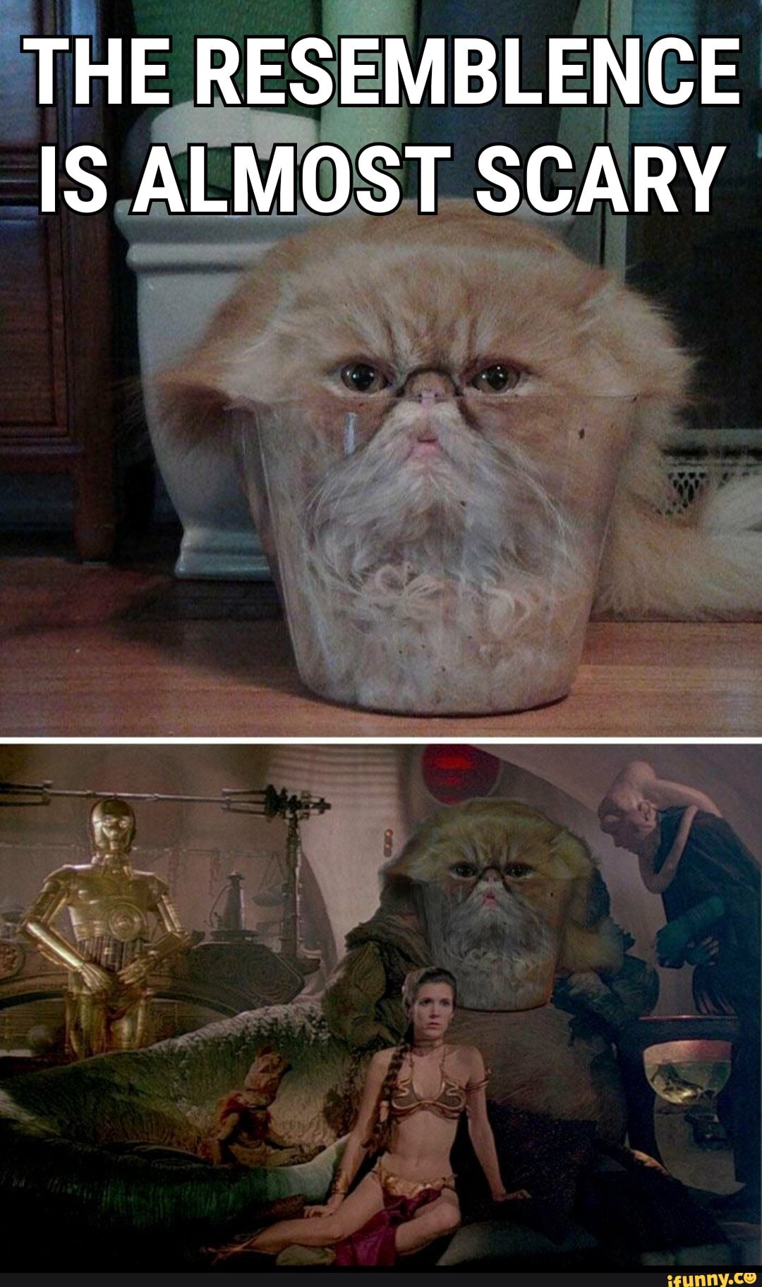 THE RESEMBLENCE IS ALMOST SCARY