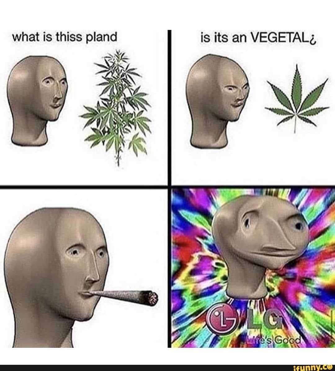 pland is its an VEGETAL ¿,