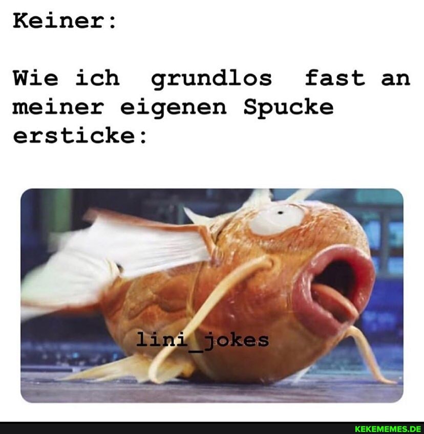 Keiner:
Wie ich grundlos fast an meiner eigenen Spucke ersticke: