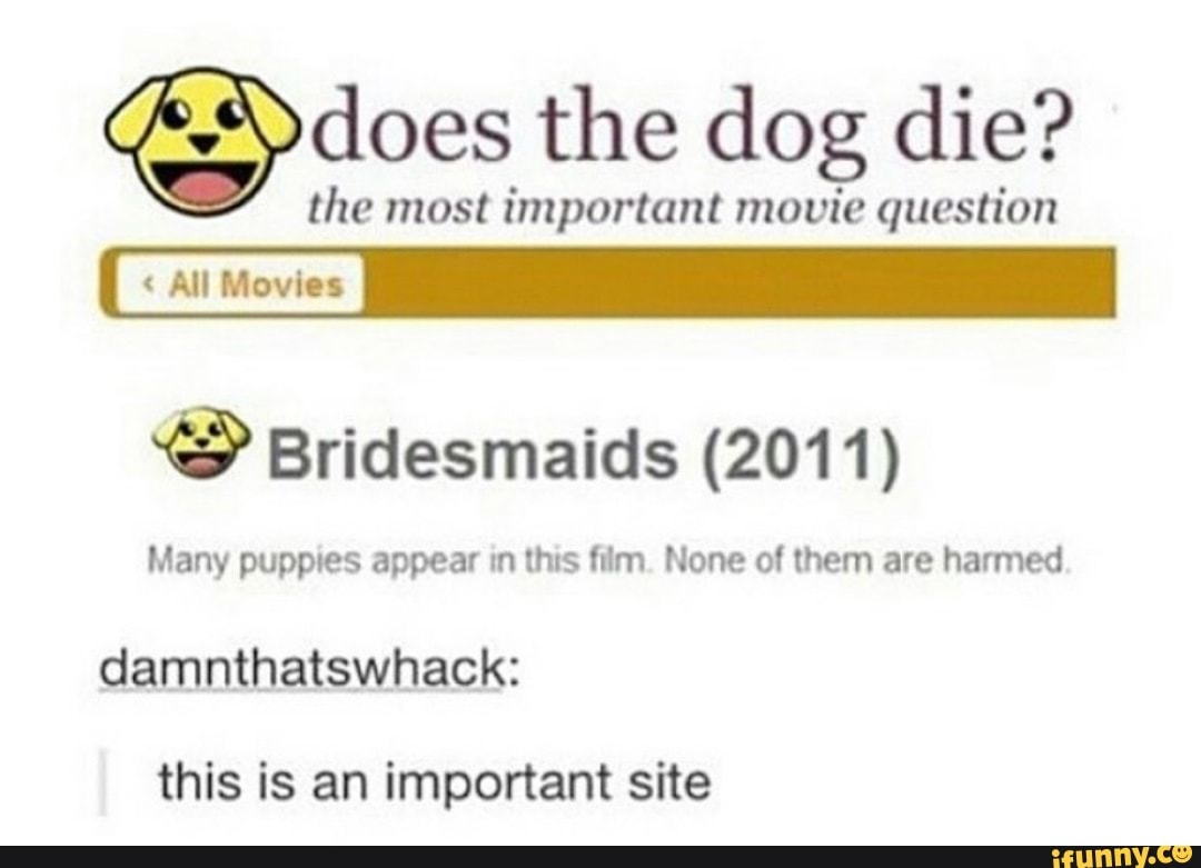 bridesmaids movie puppies bridesmaids movie puppies