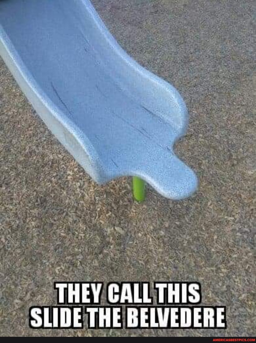 he
THEY GALL THIS SLIDE THE BELVEDERE