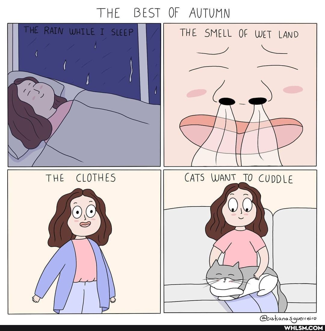THE BEST OF AUTUMN
[THE RAIN WYRLE THE SMELL OF WET LAND
- -
THE CLOTHES CATS WANT TO CUDDLE