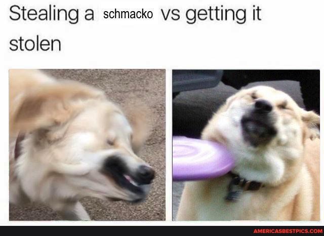 Stealing a schmacko vs getting it stolen