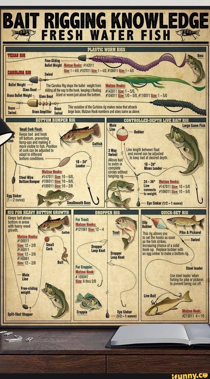 Waterproof Fishing Chart - Freshwater Bait Rigging