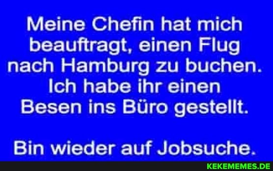 Meine Chefin hat mich beauftragt, einen Flug nach Hamburg zu buchen.
Ich habe ihr einen
Besen ins Büro gestellt.
Bin wieder auf Jobsuche.