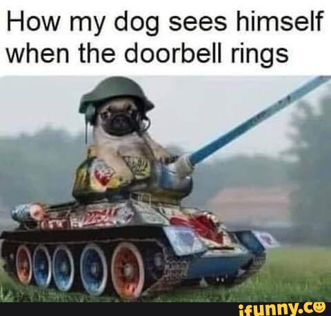 How my dog sees himself when the doorbell rings - iFunny