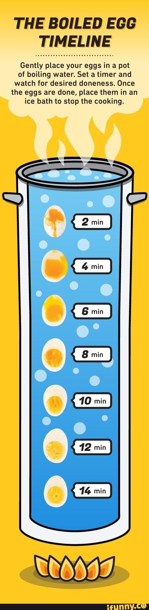 THE BOILED EGG TIMELINE Gently place your eggs in a pot of ...