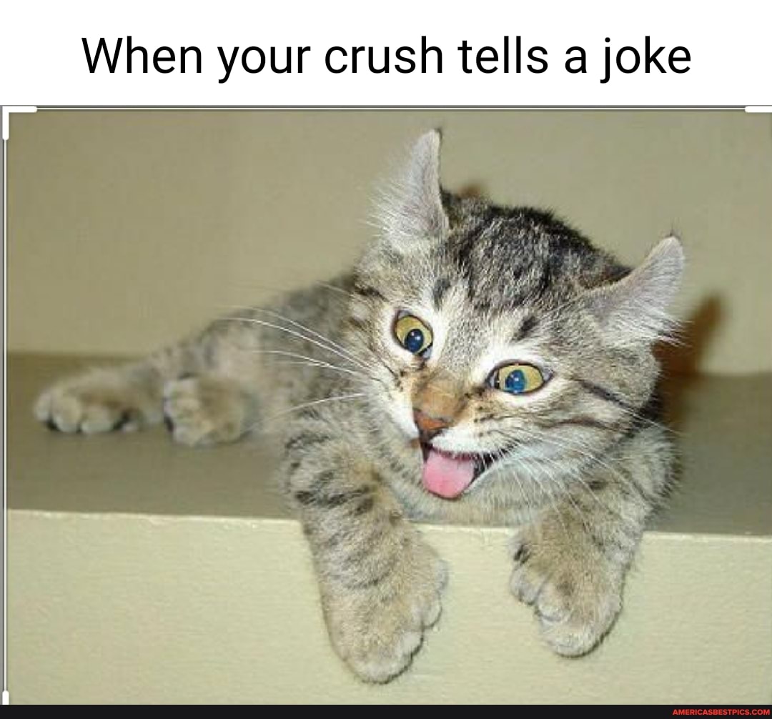When your crush tells a joke