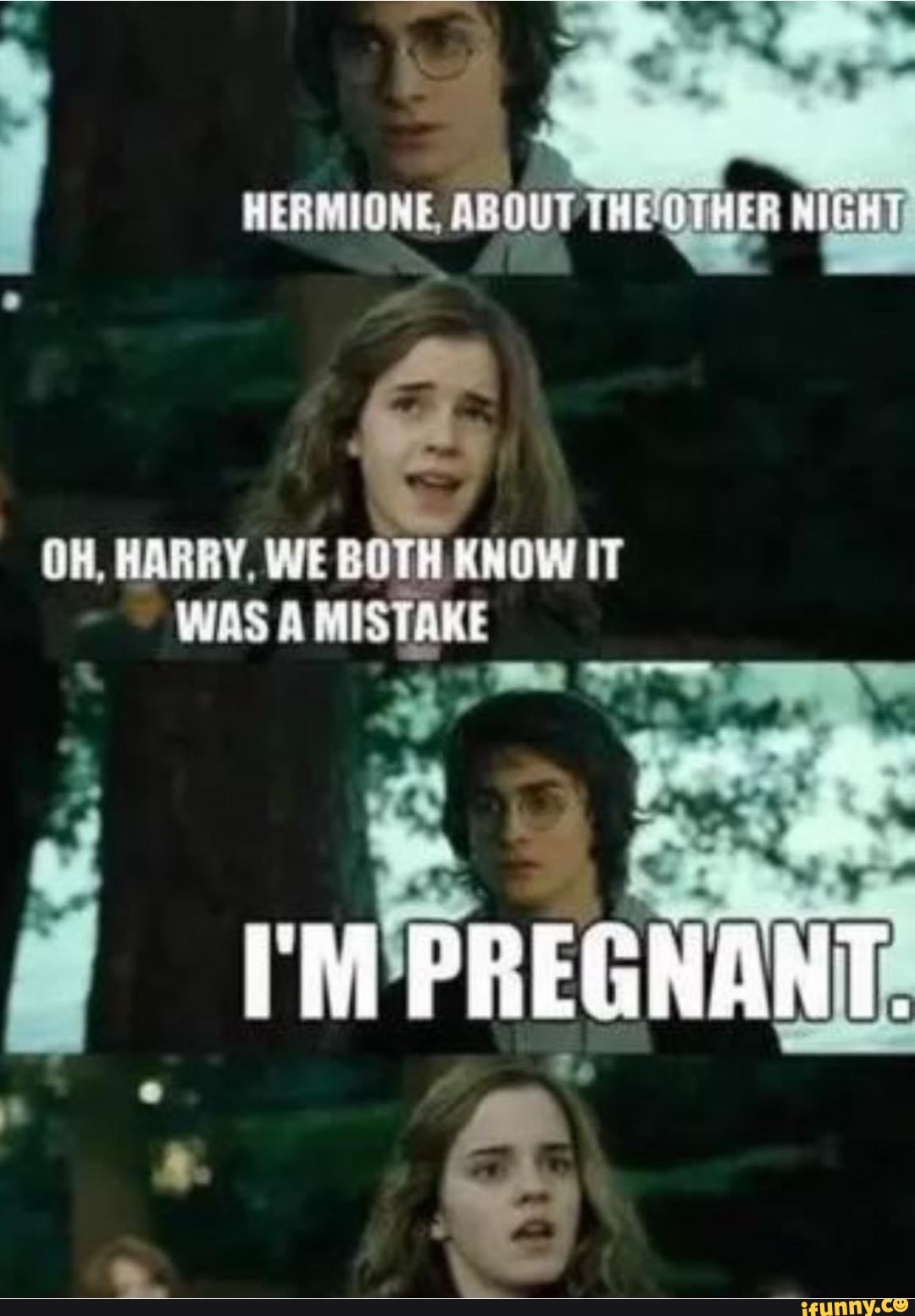 HERMIONE, ABOUT OH, HARRY, WE BOTH KNOW IT WAS A MISTAKE I'W PREGNANT -  iFunny, image size:1080x1553
