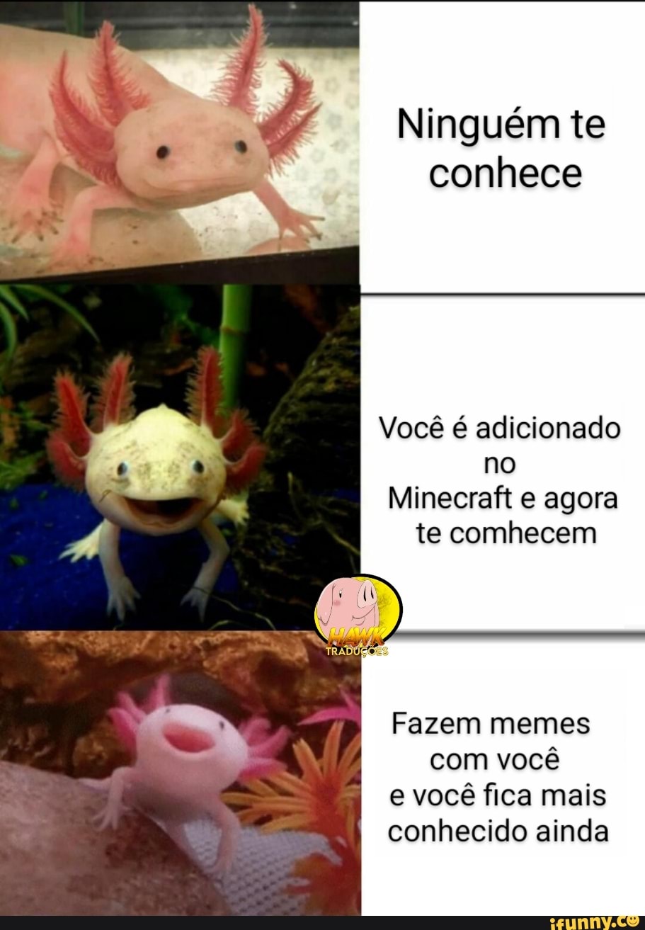 Ninguém te conhece
Você é adicionado no
Minecraft e agora te comhecem
Fazem memes com você
e você fica mais
conhecido ainda