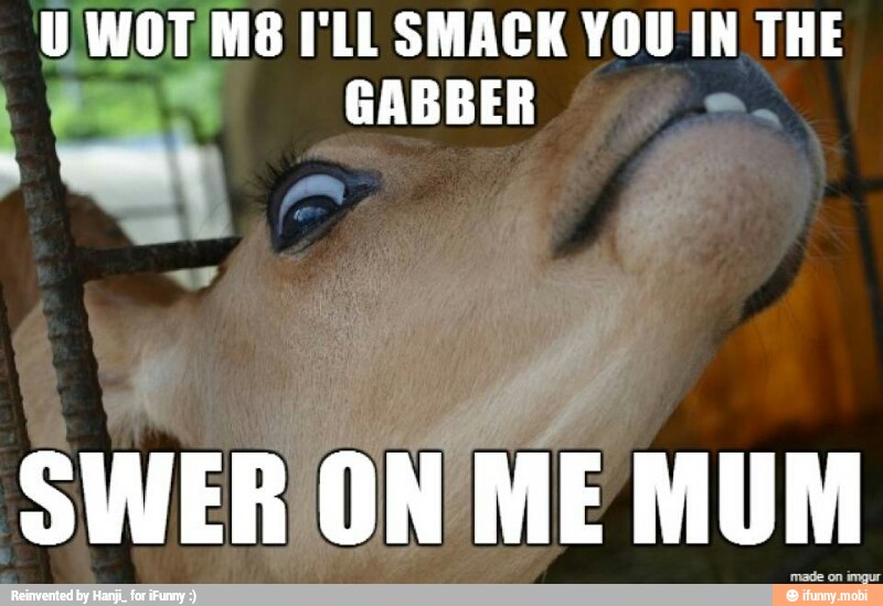 U/WOTMS I'LL SMACK YOU IN THE
be GABBER