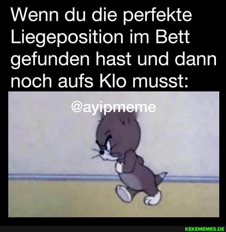 Wenn du die perfekte
Liegeposition im Bett gefunden hast und dann noch aufs Klo musst:
@ayipmeme
