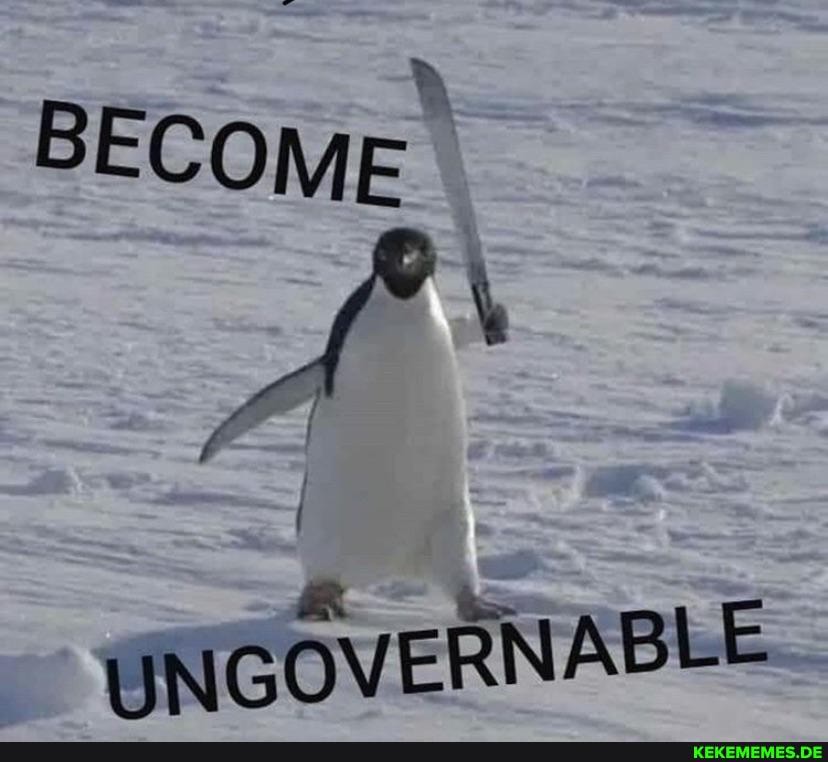 BECOME
UNGOVERNABLE