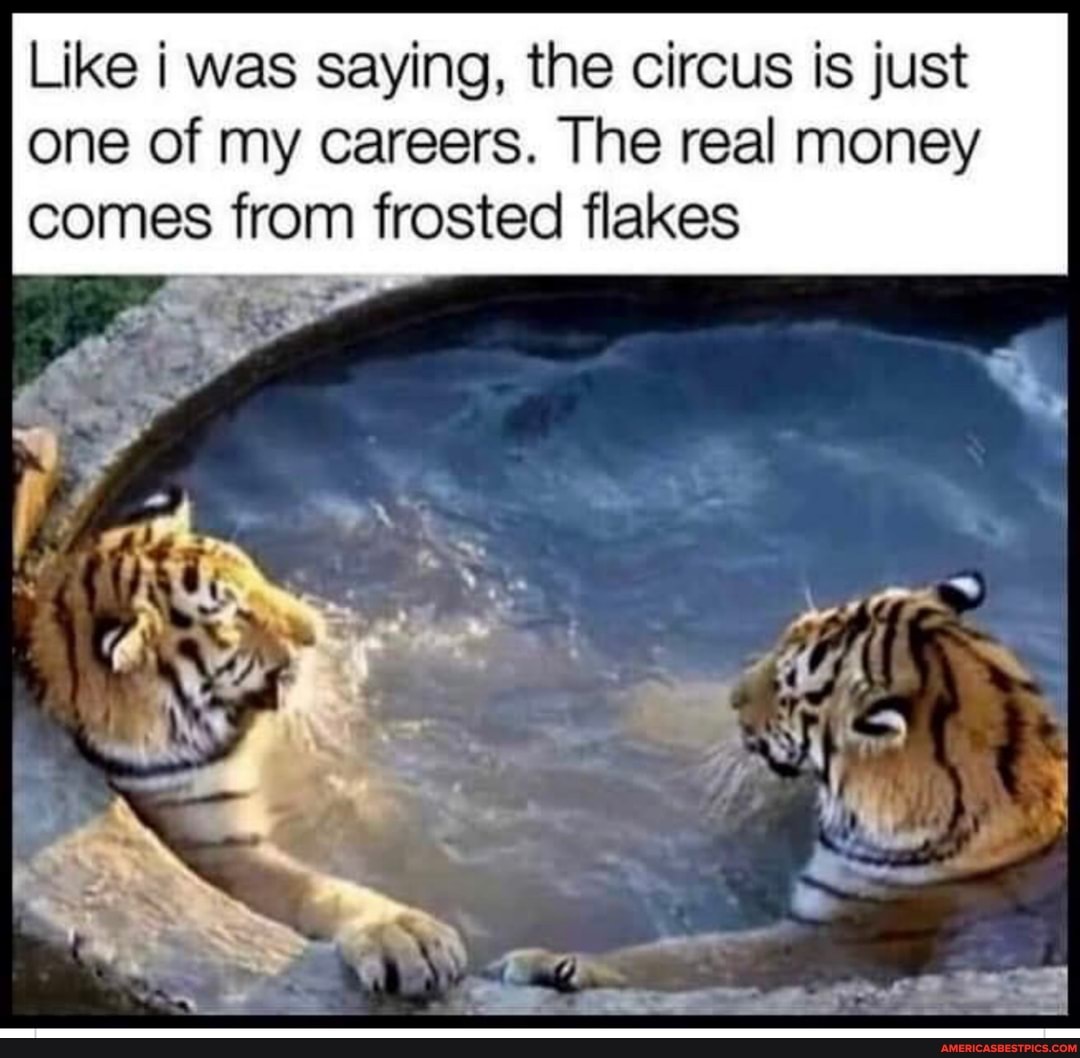Like i was saying, the circus is just one of my careers. The real money comes from frosted flakes