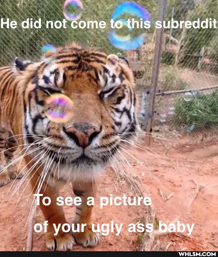 He did not come to this subreddit
To see a picture
of your ugly ass baby