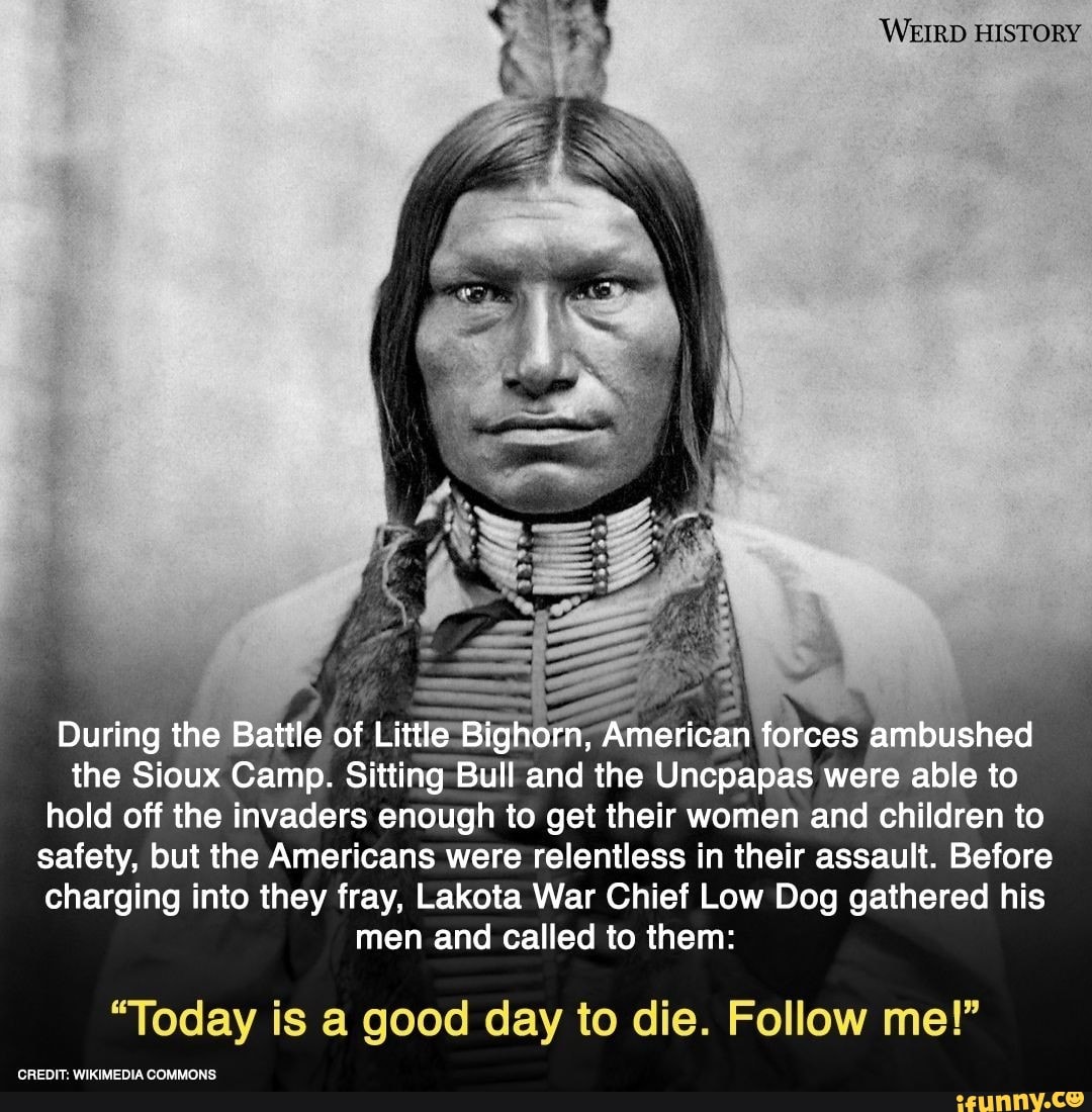 WEIRD HISTORY During the Battle of Little Bighorn; forces ambushed the ...