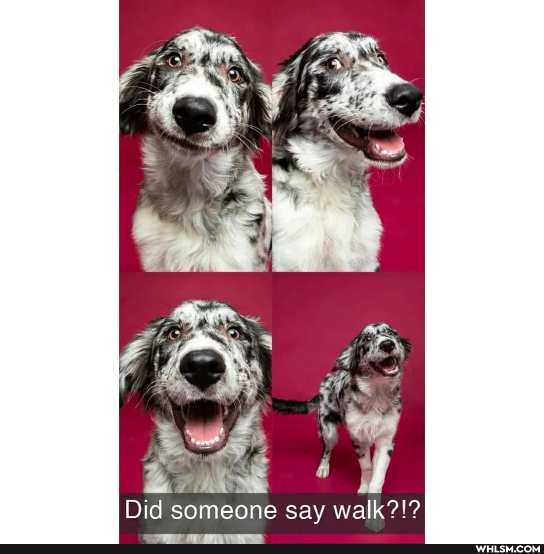 wt 2)
Did someone say walk?!?