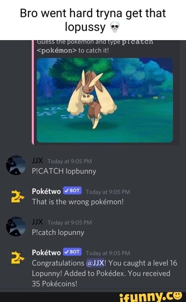 I started a meme run with Lopunny Pt 2 : r/PokemonInfiniteFusion