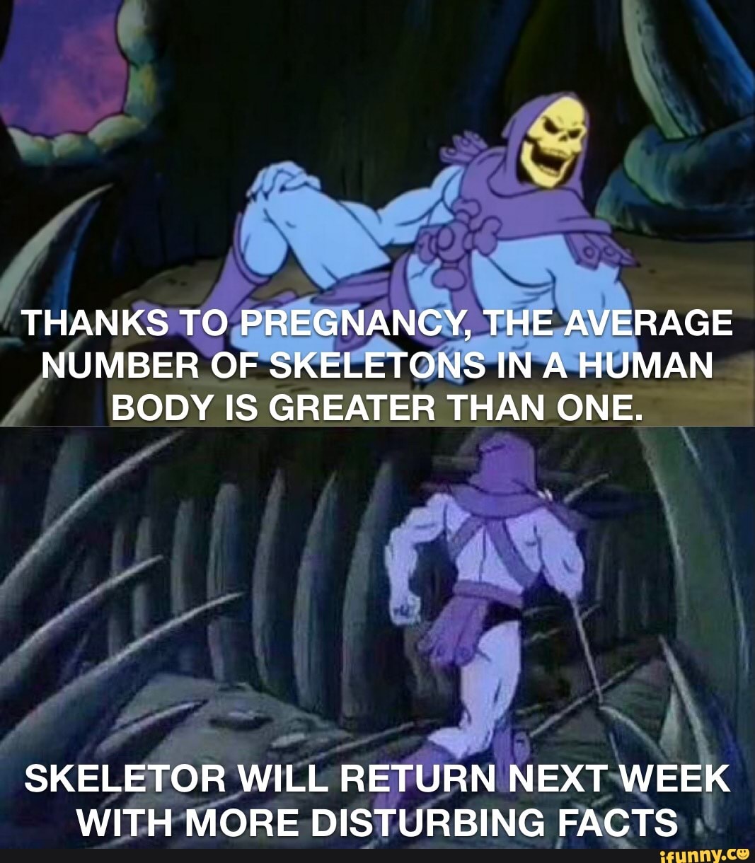 Fe THANKS TO PREGNANCY, THE AVERAGE NUMBER OF SKELETONS IN A HUMAN BODY ...