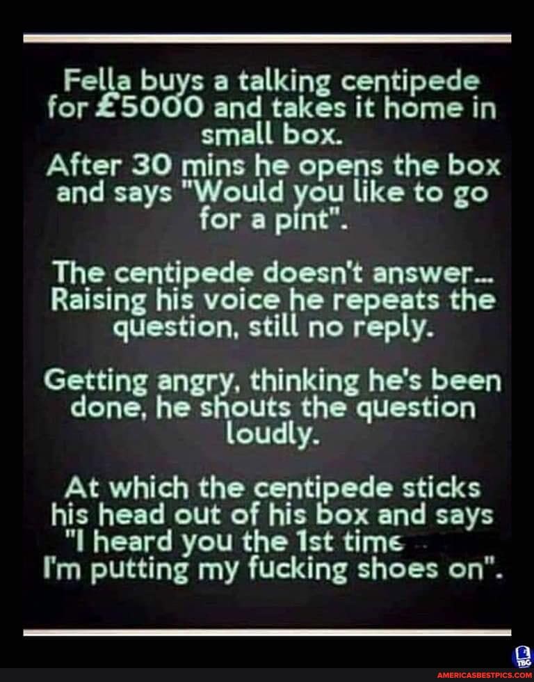 Fella buys a talking centipede for and takes it home in small box.
After 30 mins he opens the box and says "Would you like to go for a pint".
The centipede doesn't answer...
Raising his voice question, still he repeats the question, still no reply.
Getting angry, thinking he's been done, he shouts the question loudly.
At which the centipede sticks his head out of his box and says
"I heard you the Ist time
I'm putting my fucking shoes on".