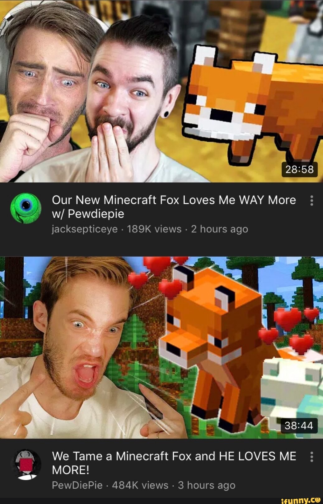 Our New Minecraft Fox Loves Me Way More W Pewdiepie