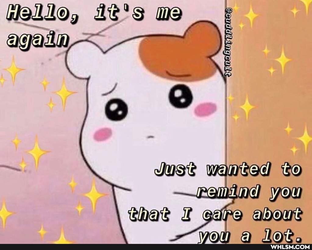 you
that
ed
By
Hello, me