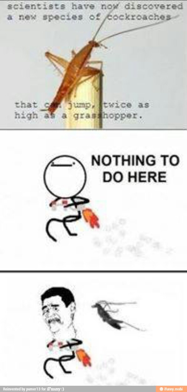 scientists have now discovered
a new species of Aockroaches-
NOTHING TO
DO HERE