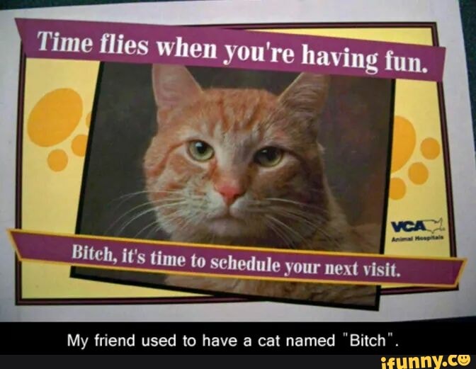 Time flies when you're having fun.
Bitch, it's time to Schedule your next visit.
My friend used to have a cat named "Bitch".