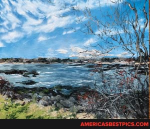 kavery, 19, kettle, cove, cape, elizabeth, maine, 9x11, oil