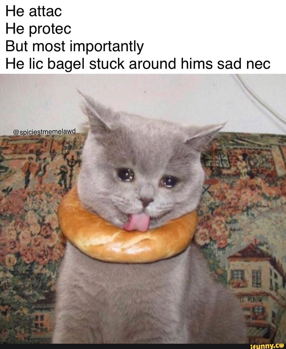 Надеяться привязать. Анекдот про холодные яички. Надеяться привязать. По яйцам анекдот. Надеяться на себя цитаты.