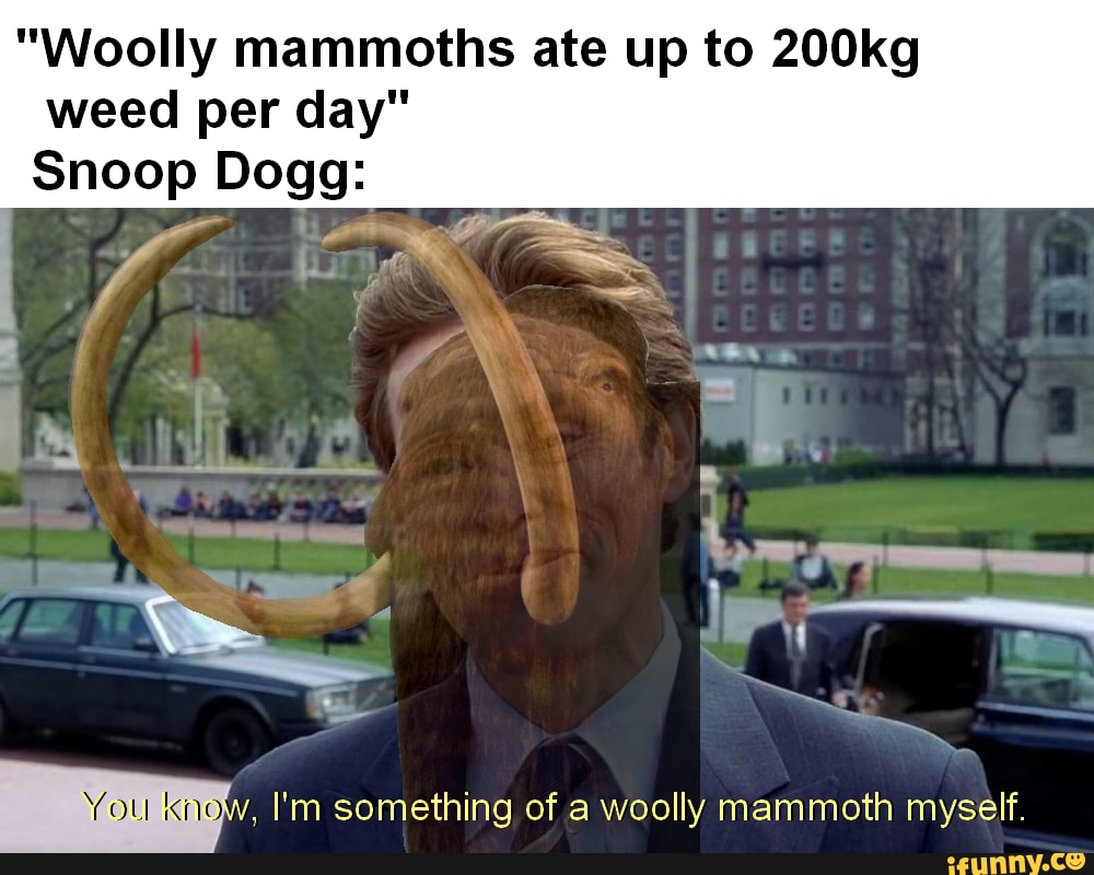 "Woolly mammoths ate up to 200kg
weed per day"
Snoop Dogg:
You
knoll
I'm something of a woolly mammoth myself.