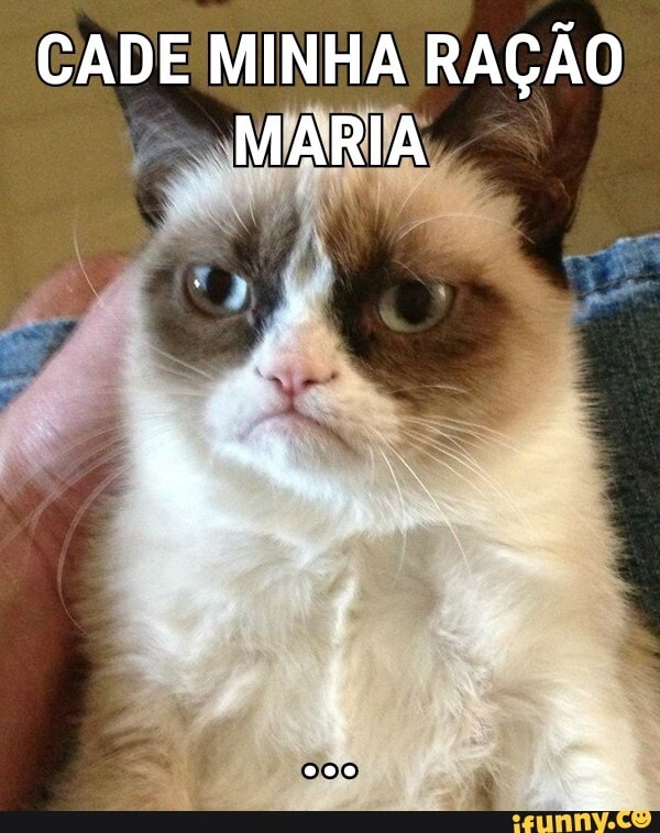 CADE MINHA RAÇÃO MARIA