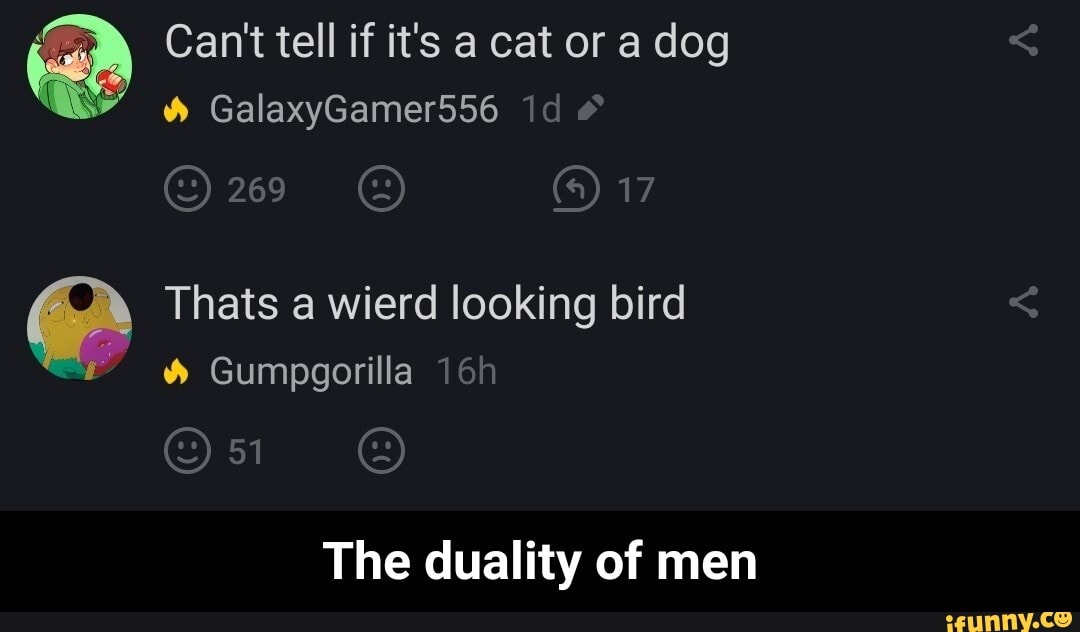 Can't tell if it's a cat or a dog ww GalaxyGamer556
269
17
Thats a wierd looking bird
Gumpgorilla
The duality of men - The duality of men