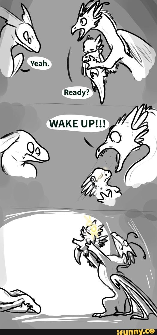 Flightrising memes. Best Collection of funny Flightrising pictures on ...