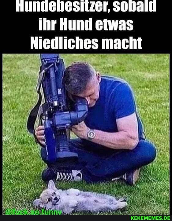 nundebesitzer
ihr Hund etwas
Niedliches macht