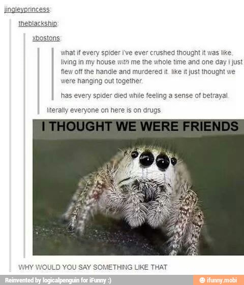 ingleyorincess
I what if every spider ive ever crushed thought it was like
living in my house with me the whole time and one day just
flew off the handle and murdered it Ike lt just thought we
were hanging out together
has every spider died while feeling a sense of betrayal
literally everyone on here is on drugs
WHY WOULD YOU SAY SOMETHING LIKE THAT