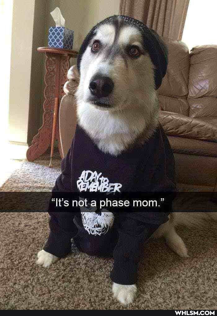 phase mom."