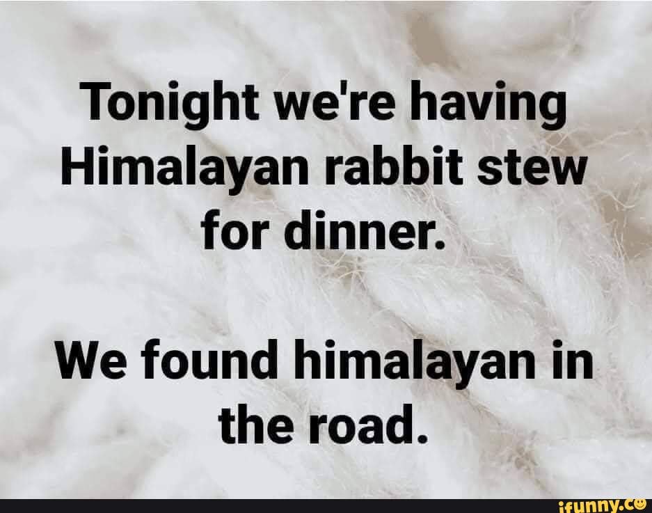 Tonight We Re Having Himalayan Rabbit Stew For Dinner We Found Himalayan In The Road