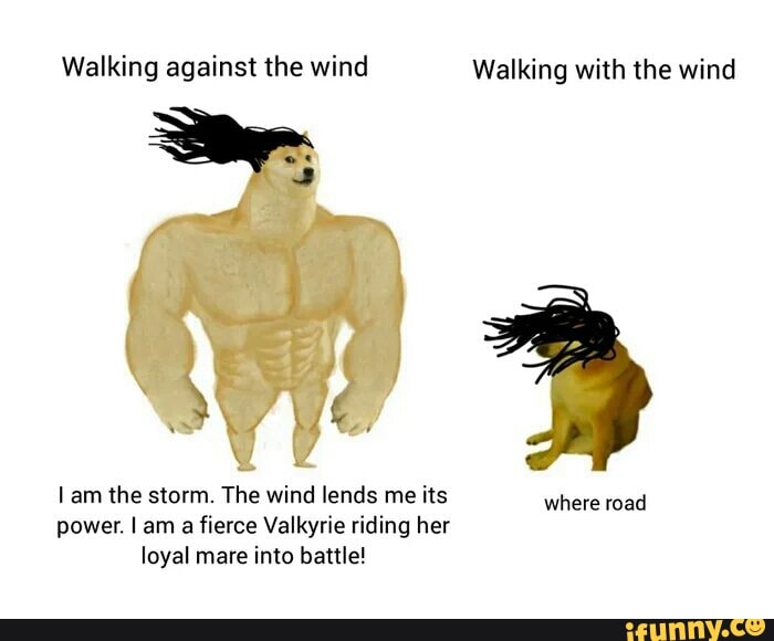 Walking against the wind Walking with the wind
am the storm. The wind lends me its where road power. I am a fierce Valkyrie riding her loyal mare into battle!