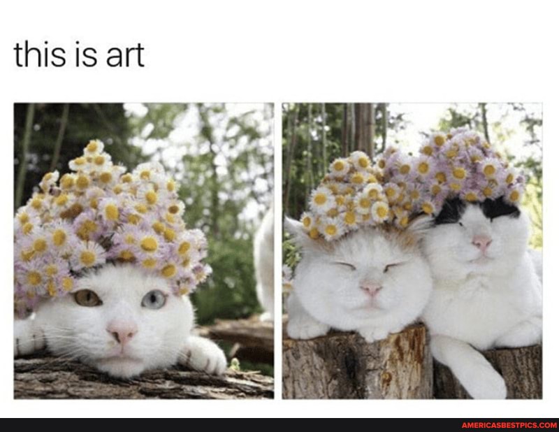 this is art