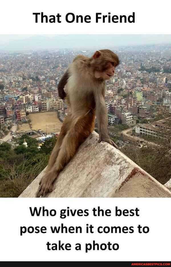 That One Friend
Who gives the best pose when it comes to take a photo
