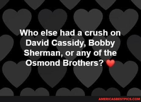 Who else had a crush on
David Cassidy, Bobby
Sherman, or any of the
Osmond Brothers?