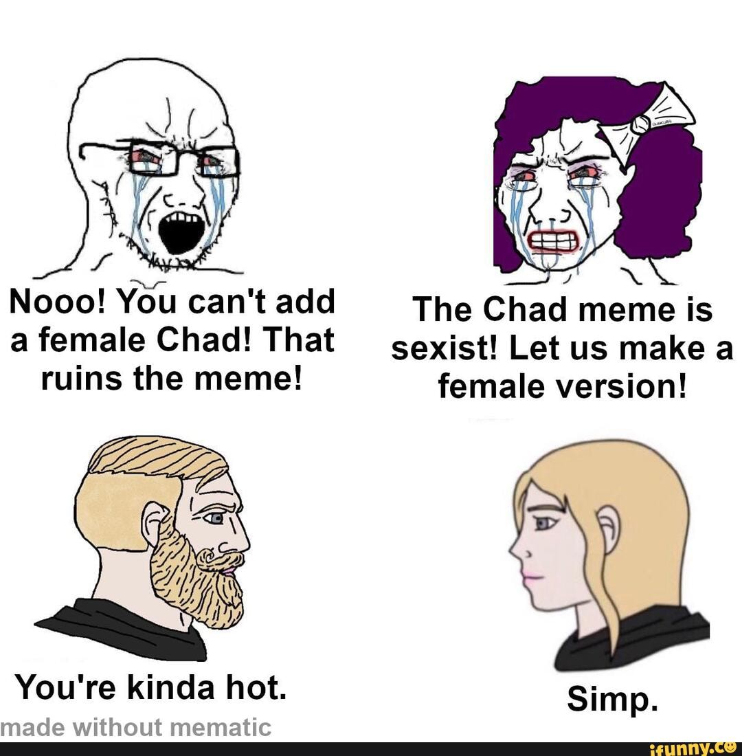 Nooo You Can T Add The Chad Meme Is A Female Chad That Sexist Let Us Make A Ruins The Meme Female Version You Re Kinda Hot Simp